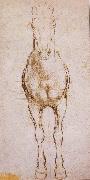 LEONARDO da Vinci Study of the proportion of horses oil painting